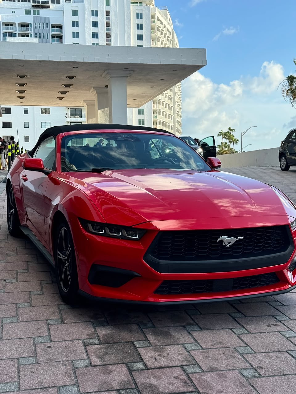 Possible Miami Photo 6